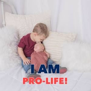 Meet your Posher, Dorothy